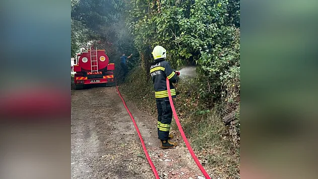 Muğla'da korkutan ot yangını: 30 metrekare alan zarar gördü