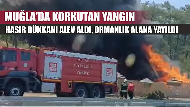 Muğla'da Korkutan Yangın: Hasır Dükkanı Alev Aldı, Ormanlık Alana Yayıldı