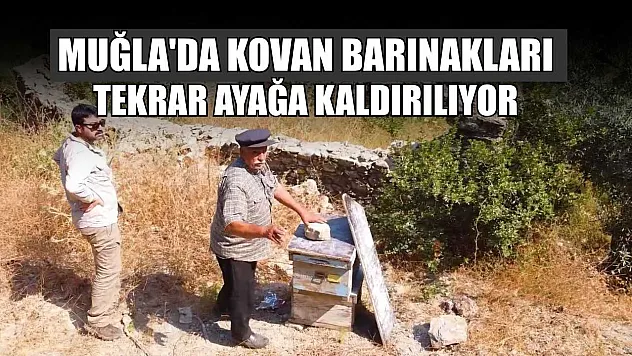 Muğla'da kovan barınakları tekrar ayağa kaldırılıyor