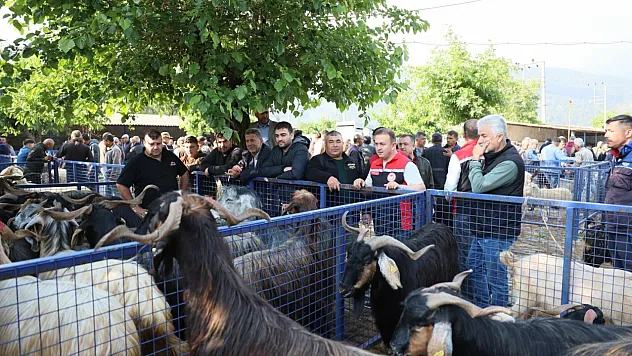 Muğla'da Kurban pazarlarında sıkı denetim