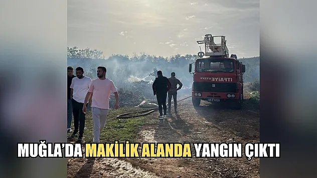Muğla'da makilik alanda yangın çıktı