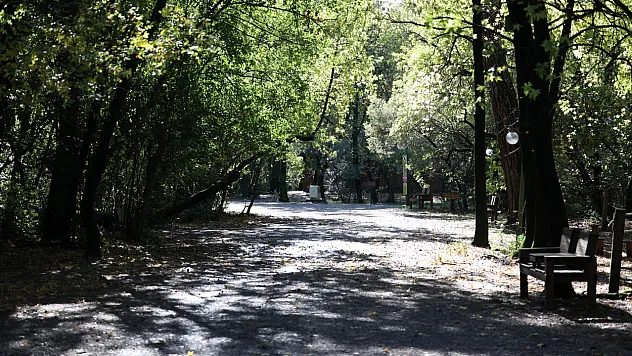 Muğla'da o orman Cumartesi günleri de ziyarete açık