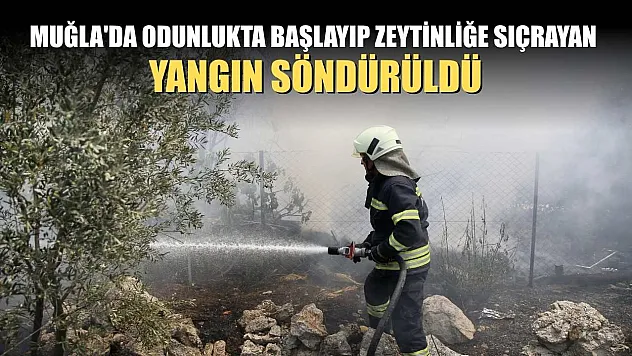 Muğla'da odunlukta başlayıp zeytinliğe sıçrayan yangın söndürüldü
