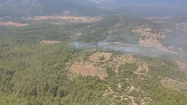 Muğla'da orman yangını kontrol altına alındı