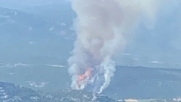 Muğla'da orman yangını