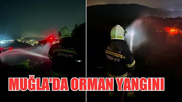 Muğla'da orman yangını