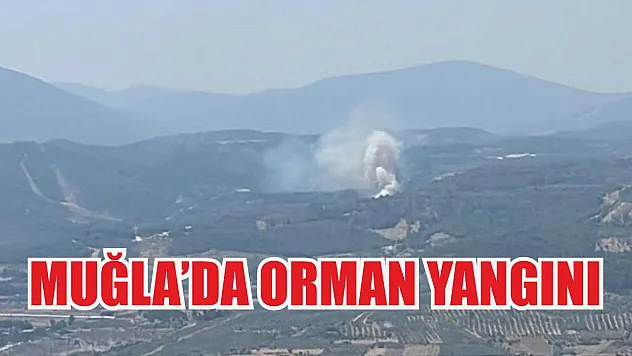 Muğla'da orman yangını