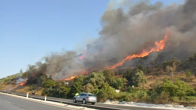 Muğla'da orman yangınları korkutuyor