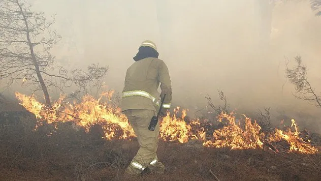 Muğla'da ormancılar teyakkuzda