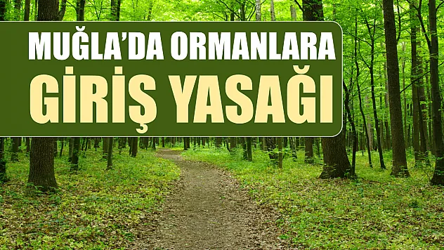 Muğla'da ormanlara giriş yasağı