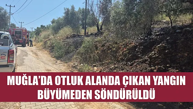 Muğla'da otluk alanda çıkan yangın büyümeden söndürüldü