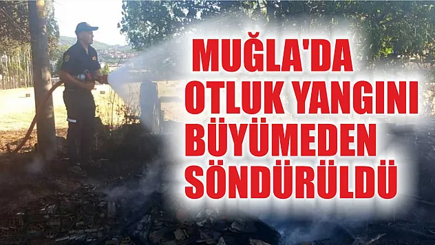 Muğla'da otluk yangını büyümeden söndürüldü