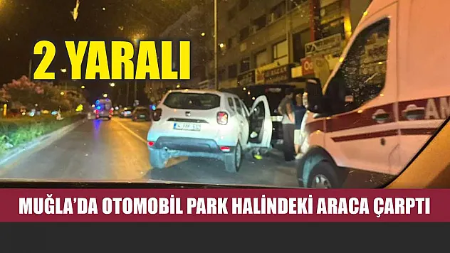 Muğla'da otomobil park halindeki araca çarptı: 2 yaralı