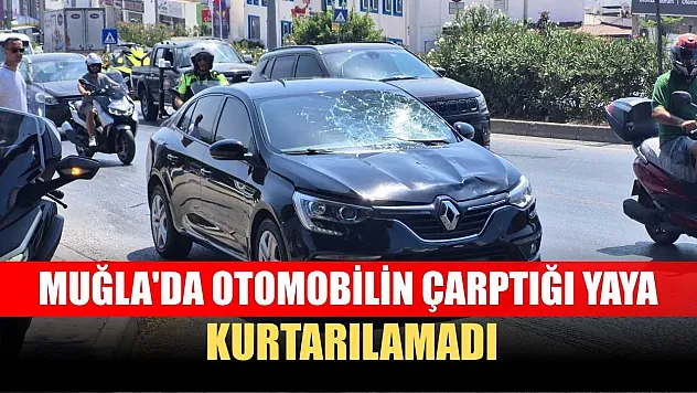 Muğla'da otomobilin çarptığı yaya kurtarılamadı