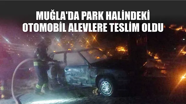 Muğla'da park halindeki otomobil alevlere teslim oldu