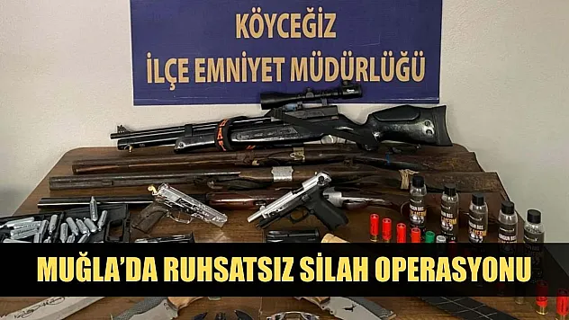 Muğla'da ruhsatsız silah operasyonu