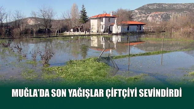 Muğla'da son yağışlar çiftçiyi sevindirdi