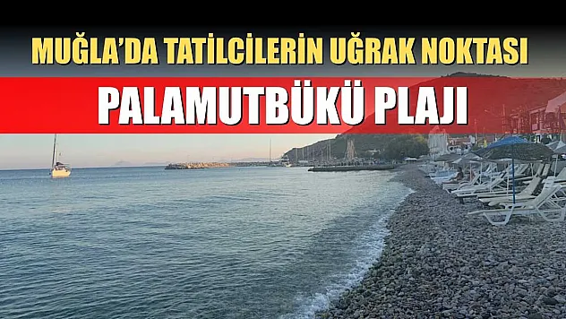 Muğla'da Tatilcilerin Uğrak Noktası: Palamutbükü Plajı