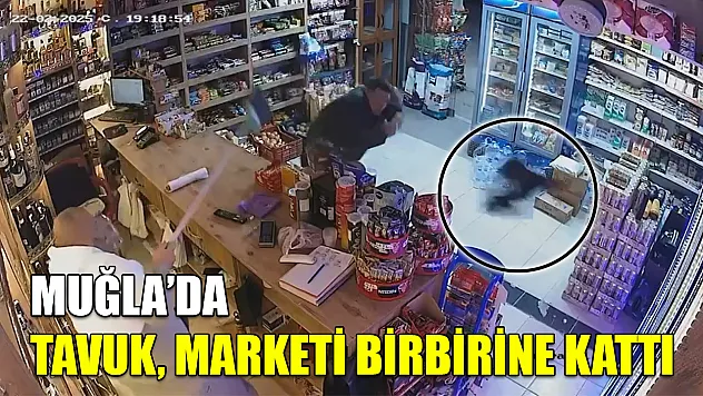 Muğla'da tavuk, marketi birbirine kattı
