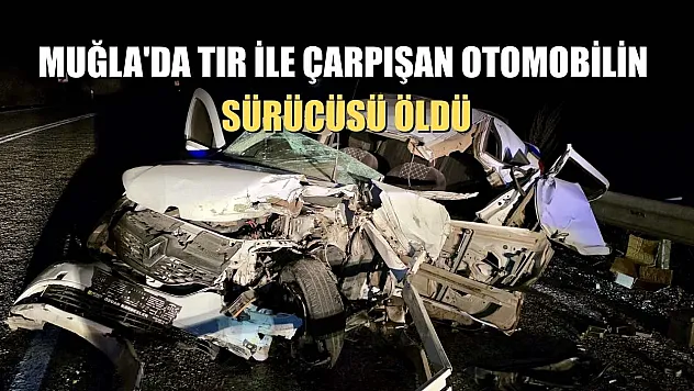 Muğla'da tır ile çarpışan otomobilin sürücüsü öldü