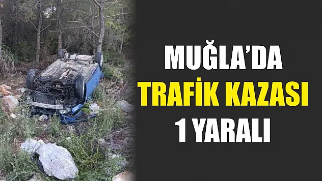 Muğla'da trafik kazası:1 yaralı