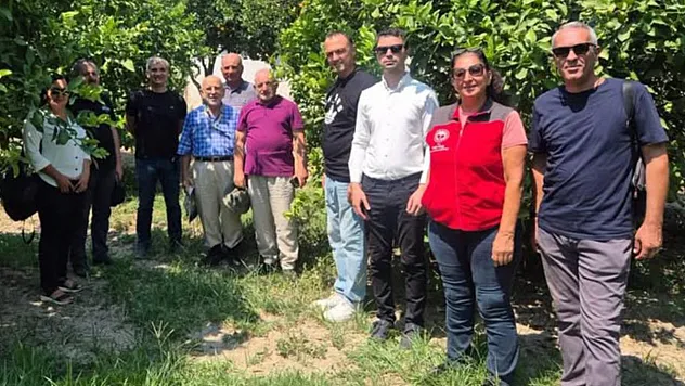 Muğla'da turunçgil üretiminde biyolojik mücadele çalışmaları sürüyor
