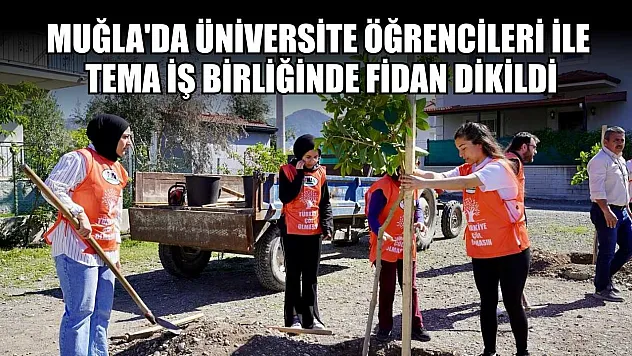 Muğla'da üniversite öğrencileri ile TEMA iş birliğinde fidan dikildi