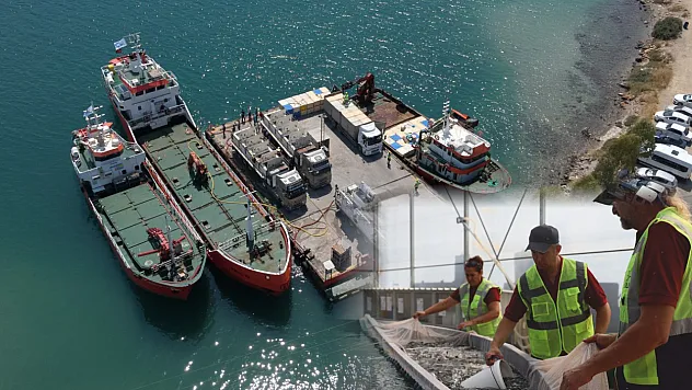 Muğla'da üretilen balık yavruları yurt dışına satılıyor