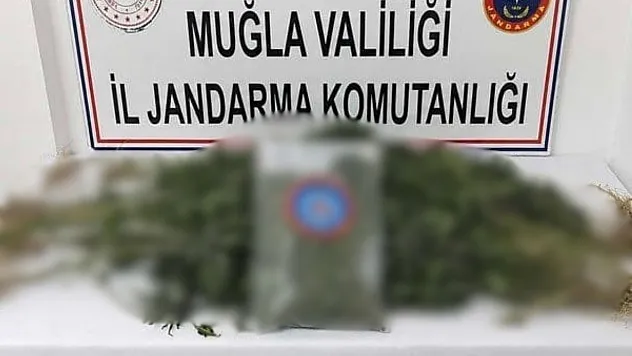 Muğla'da uyuşturucu operasyonlarında yakalanan 5 zanlı tutuklandı