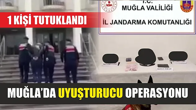Muğla'da uyuşturucu operasyonunda 1 tutuklama