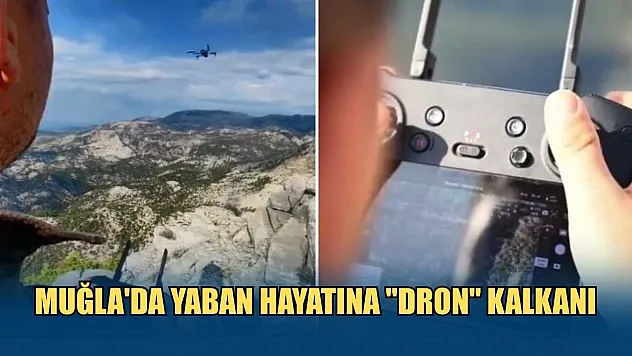 Muğla'da yaban hayatına 'dron' kalkanı