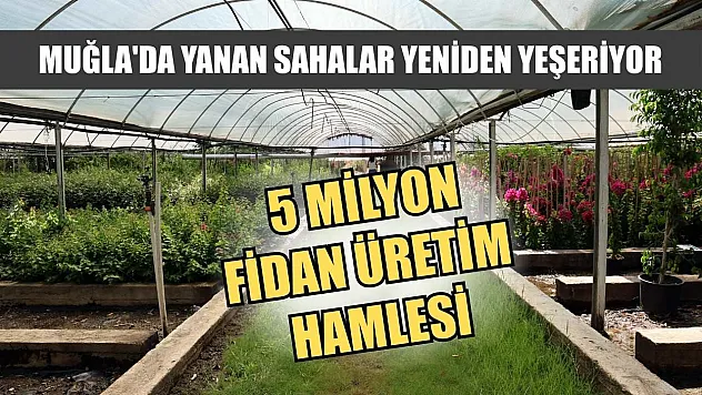 Muğla'da Yanan Sahalar Yeniden Yeşeriyor: 5 Milyon Fidan Üretim Hamlesi