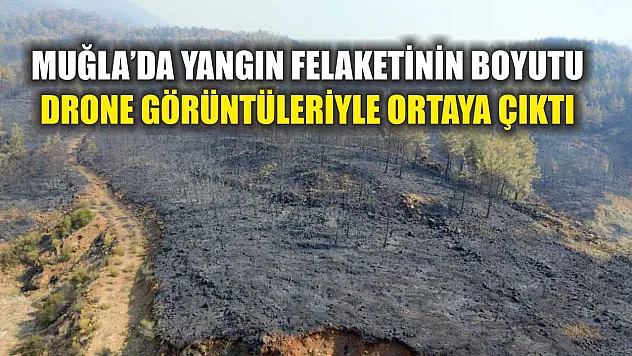 Muğla'da yangın felaketinin boyutu drone görüntüleriyle ortaya çıktı