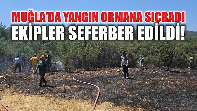 Muğla'da Yangın Ormana Sıçradı! Ekipler Seferber Edildi!