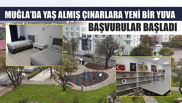Muğla'da Yaş Almış Çınarlara Yeni Bir Yuva: Başvurular Başladı