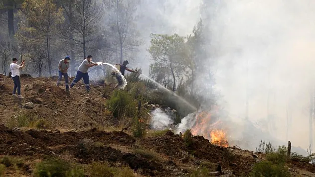 Muğla'da 'Yeşil Vatan' için vatandaşlar seferber oluyor