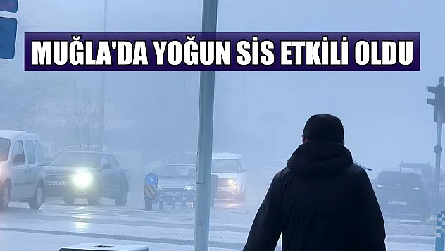 Muğla'da yoğun sis etkili oldu