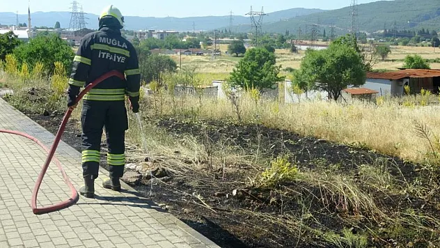 Muğla'da yol kenarına atılan sigara izmariti yangın çıkardı