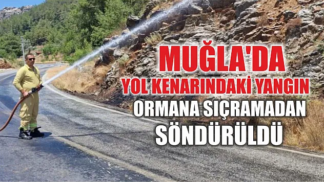 Muğla'da yol kenarındaki yangın ormana sıçramadan söndürüldü