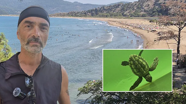 Muğla'da Yumurtadan Çıkan Caretta Caretta Yavruları Mavi Sulara Ulaşıyor