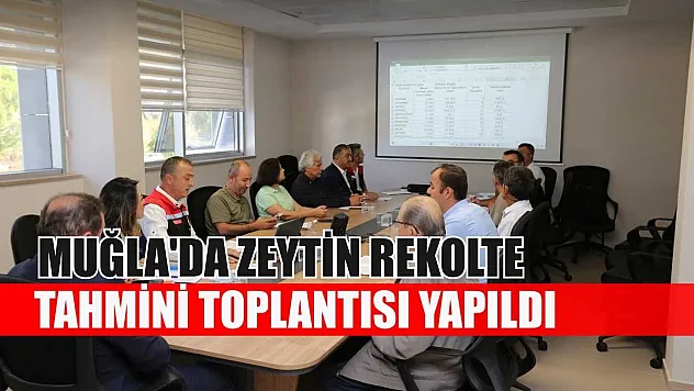 Muğla'da zeytin rekolte tahmini toplantısı yapıldı