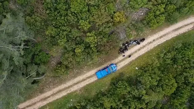 Muğla dahil 33 ilde göçmen kaçakçılığı operasyonlarında 51 şüpheli yakalandı