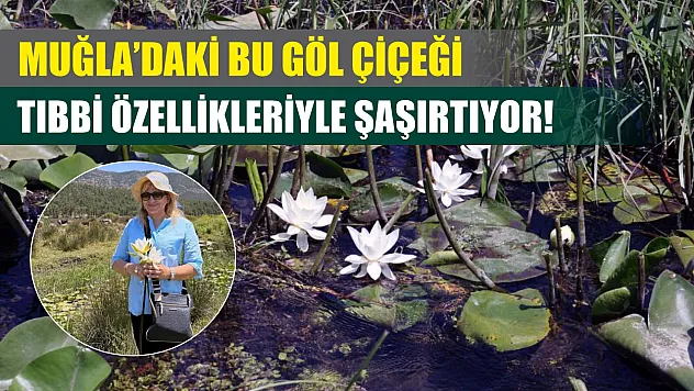 Muğla'daki Bu Göl Çiçeği Tıbbi Özellikleriyle Şaşırtıyor!