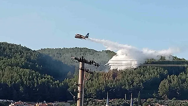 Muğla'daki orman yangını kontrol altına alındı