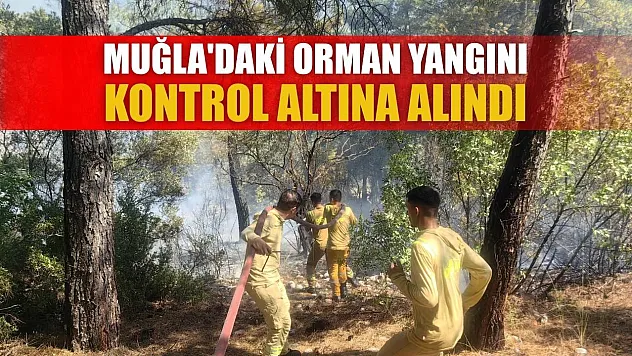 Muğla'daki orman yangını kontrol altına alındı