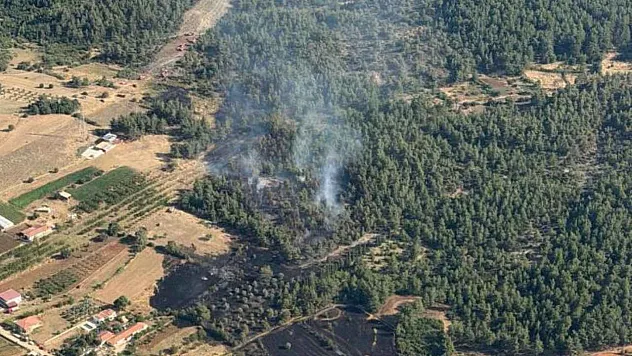Muğla'daki orman yangını kontrol altına alındı