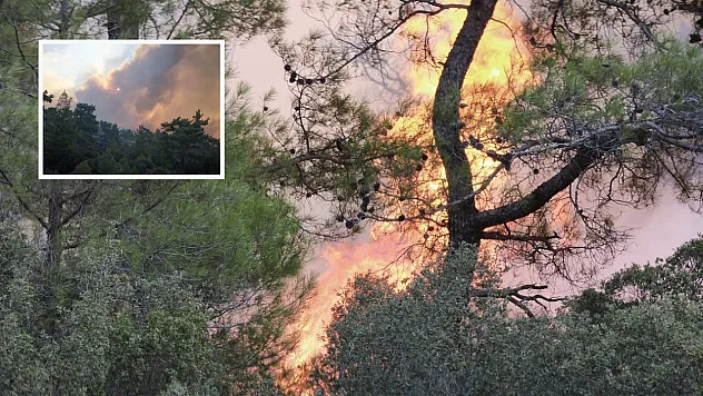 Muğla'daki orman yangınına müdahale devam ediyor