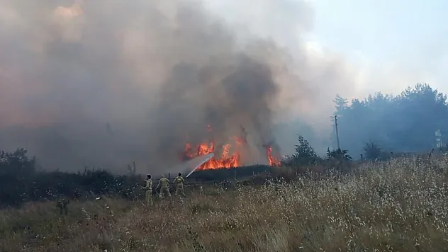 Muğla'daki orman yangınında 1 kişi gözaltına alındı