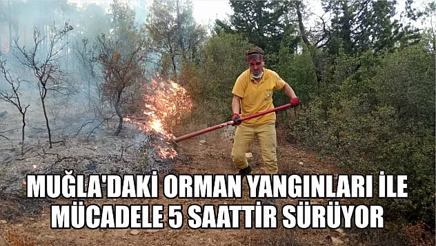 Muğla'daki orman yangınları ile mücadele 5 saattir sürüyor