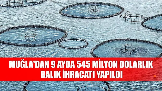 Muğla'dan 9 ayda 545 milyon dolarlık balık ihracatı yapıldı